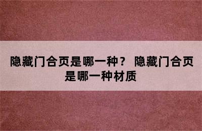 隐藏门合页是哪一种？ 隐藏门合页是哪一种材质